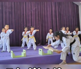 开云- 跆拳道邀请赛上演强强对话，陇右霹雳队翻盘海滨天虎队，战术调整见效；快速转换撕裂防线